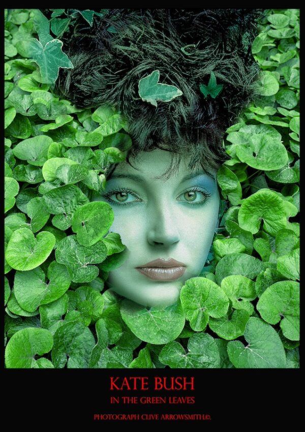 Kate Bush green photographie par Clive Arrowsmith