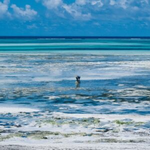 AQUARELLE Photographie Édition Limitée Arnaud Juherian