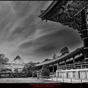 TRAS-492_Before_the_Storm_Temple_Nara_Japan_Clive_Arrowsmith©Maison_Sensey_Photographie