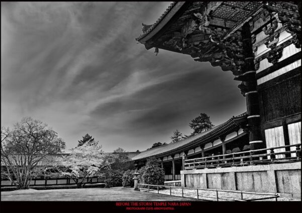 TRAS-492_Before_the_Storm_Temple_Nara_Japan_Clive_Arrowsmith©Maison_Sensey_Photographie