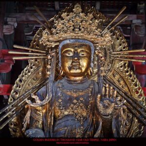 TRGB-498_Golden_Buddha_Nara_Japan_Clive_Arrowsmith©Maison_Sensey_Photographie