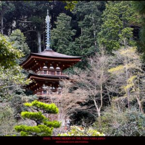 TRST-504_Small_Temple_Hidden_in_the_Trees_Nara_Japan_Clive_Arrowsmith©Maison_Sensey_Photographie