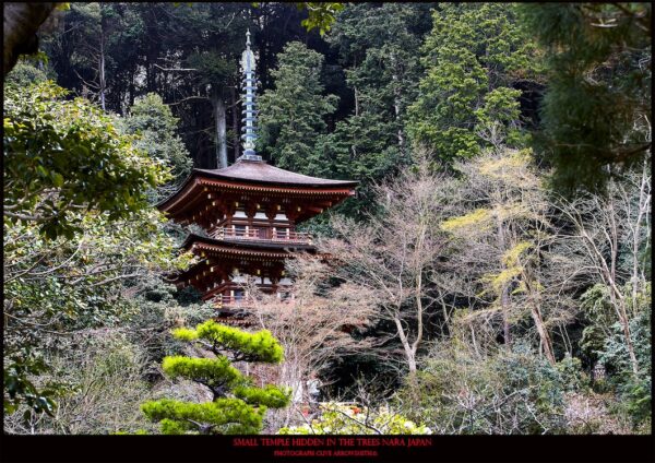 photographie d'art de la série voyage édition poster small temple in the trees Nara japan par le photographe Clive Arrowsmith