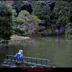 TRTW-506_Temple_Gardner_Cleans_the_Pond_Nara_Japan_Clive_Arrowsmith©Maison_Sensey_Photographie