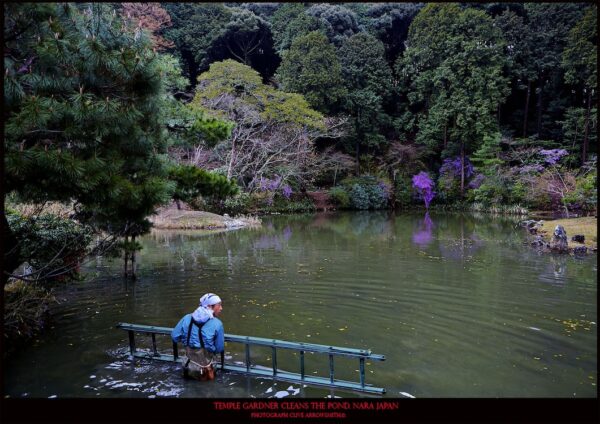 photographie d'art de la série voyage édition poster temple Gardener cleans the pond Nara Japan par le photographe Clive Arrowsmith