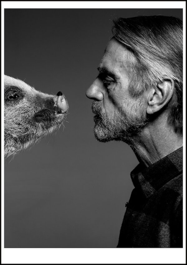 ELAJI-770_Jermy_Irons_and_the_Pig_Clive_Arrowsmith©Maison_Sensey_Photographie